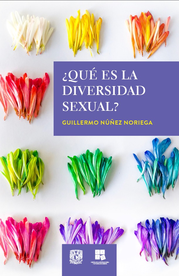 ¿Qué es la diversidad sexual?