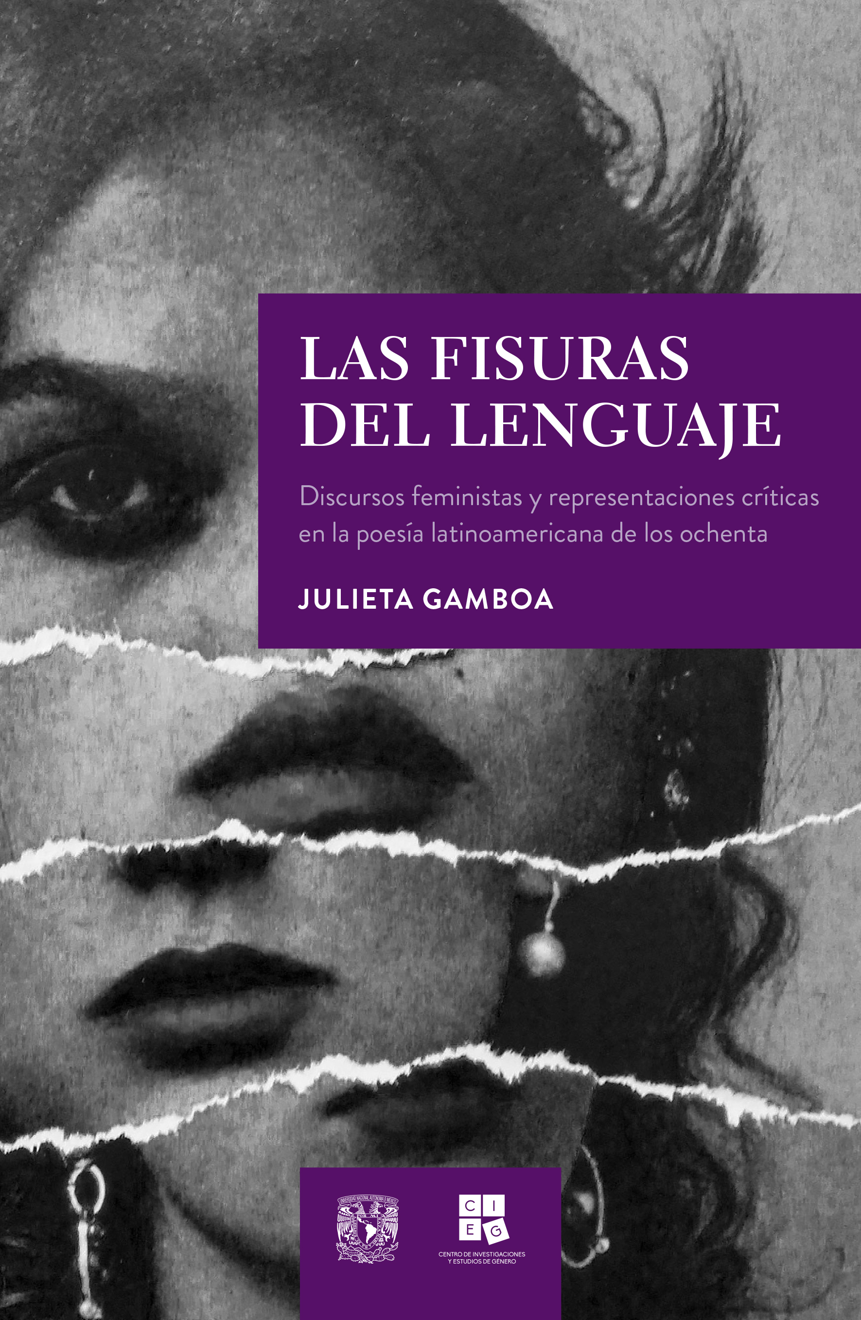 Las fisuras del lenguaje. Discursos feministas y representaciones críticas en la poesía latinoamericana de los ochenta